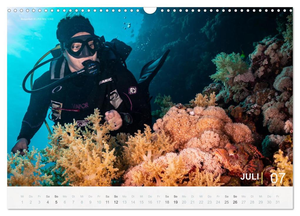 Weitere Ansicht: Einfach Tauchen - Wunderbare Tauchplätze und Korallenriffe (Wandkalender 2026 DIN A3 quer), CALVENDO Monatskalender | Christian Hubo feel4nature, Calvendo