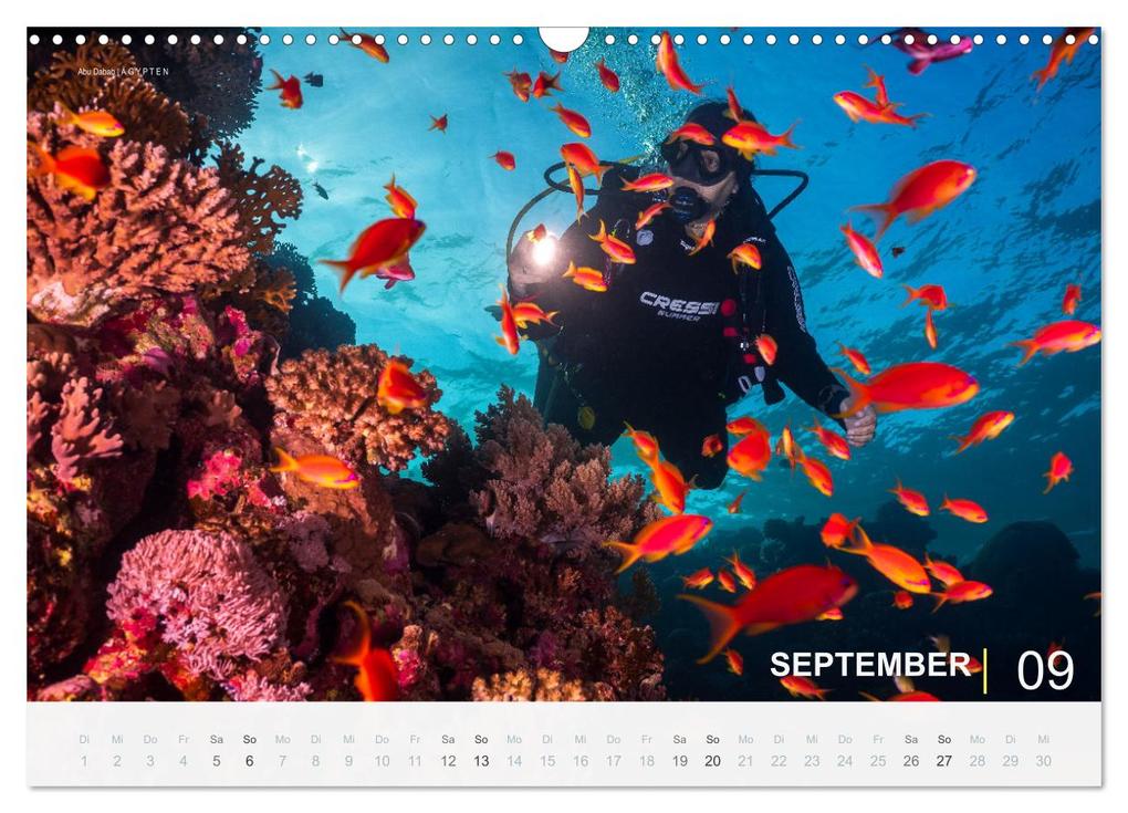 Weitere Ansicht: Einfach Tauchen - Wunderbare Tauchplätze und Korallenriffe (Wandkalender 2026 DIN A3 quer), CALVENDO Monatskalender | Christian Hubo feel4nature, Calvendo