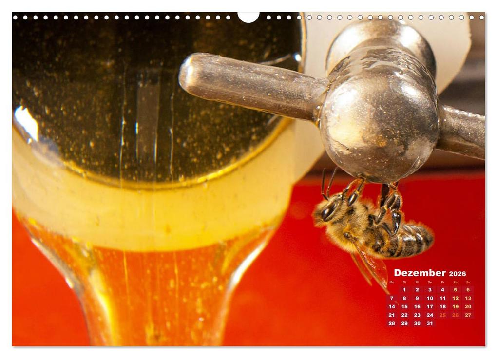 Weitere Ansicht: Ein Leben für den Honig - Bienen und Imker (Wandkalender 2026 DIN A3 quer), CALVENDO Monatskalender | CALVENDO CALVENDO, Calvendo