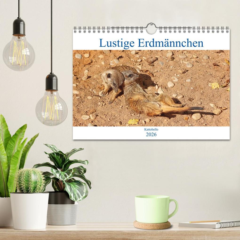 Weitere Ansicht: Lustige Erdmännchen (Wandkalender 2026 DIN A4 quer), CALVENDO Monatskalender | Kattobello Kattobello, Calvendo, Kattobello