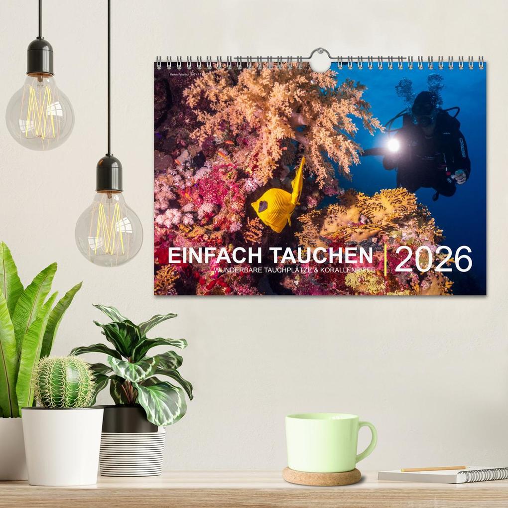 Weitere Ansicht: Einfach Tauchen - Wunderbare Tauchplätze und Korallenriffe (Wandkalender 2026 DIN A4 quer), CALVENDO Monatskalender | Christian Hubo feel4nature, Calvendo