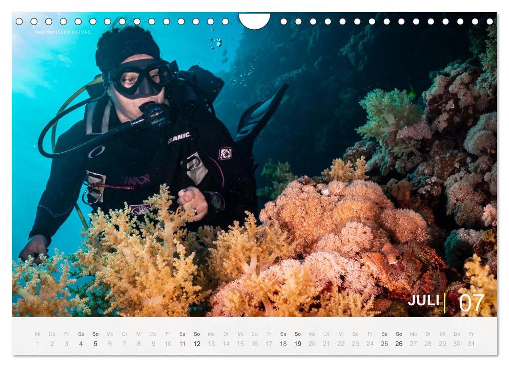Weitere Ansicht: Einfach Tauchen - Wunderbare Tauchplätze und Korallenriffe (Wandkalender 2026 DIN A4 quer), CALVENDO Monatskalender | Christian Hubo feel4nature, Calvendo