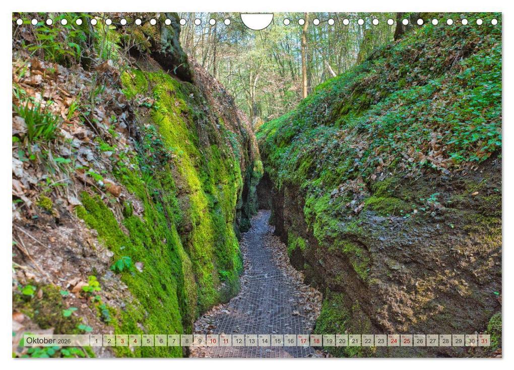 Weitere Ansicht: Wandern in Thüringen (Wandkalender 2026 DIN A4 quer), CALVENDO Monatskalender | Calvendo, Michael Stollmann