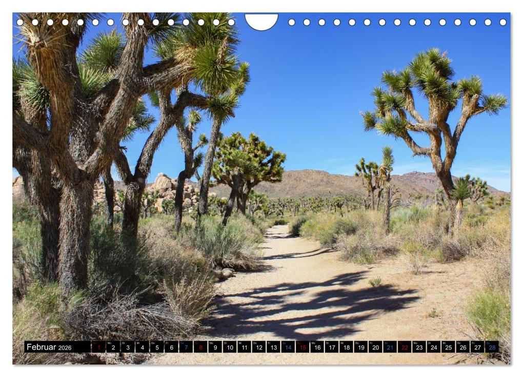 Weitere Ansicht: USA - Der Südwesten (Wandkalender 2026 DIN A4 quer), CALVENDO Monatskalender | Natalie Maertens, Calvendo