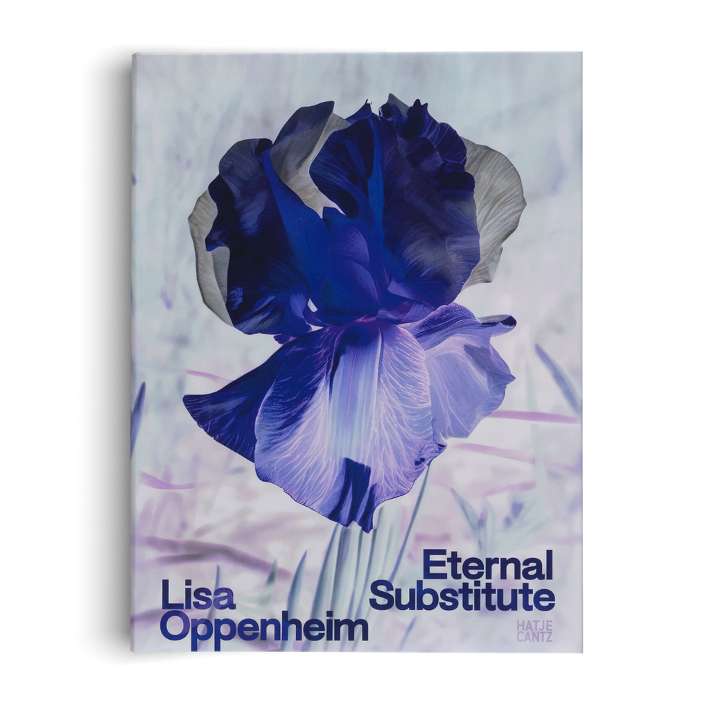 Weitere Ansicht: Lisa Oppenheim: The Eternal Substitute