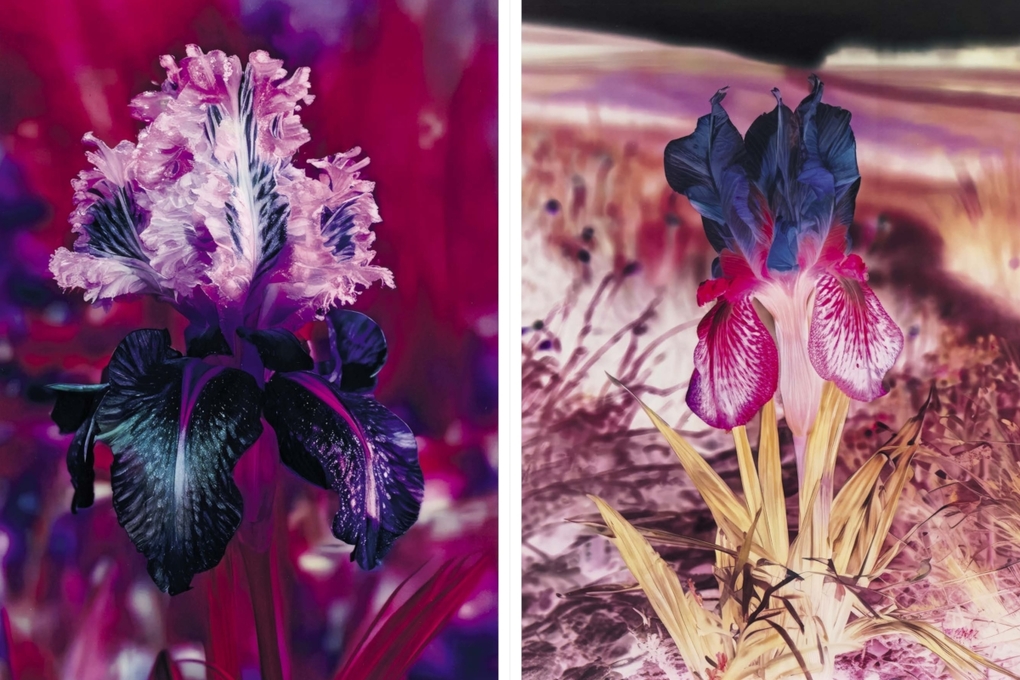 Weitere Ansicht: Lisa Oppenheim: The Eternal Substitute