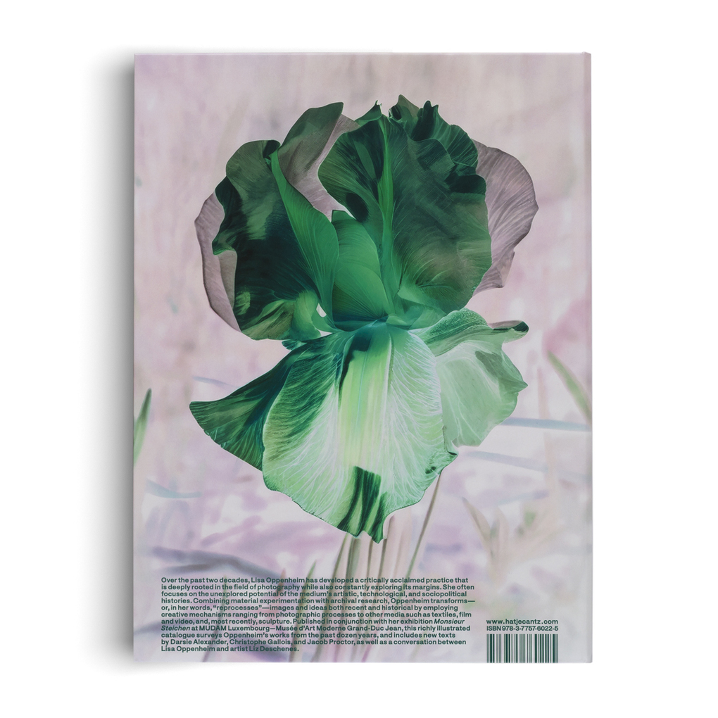 Weitere Ansicht: Lisa Oppenheim: The Eternal Substitute