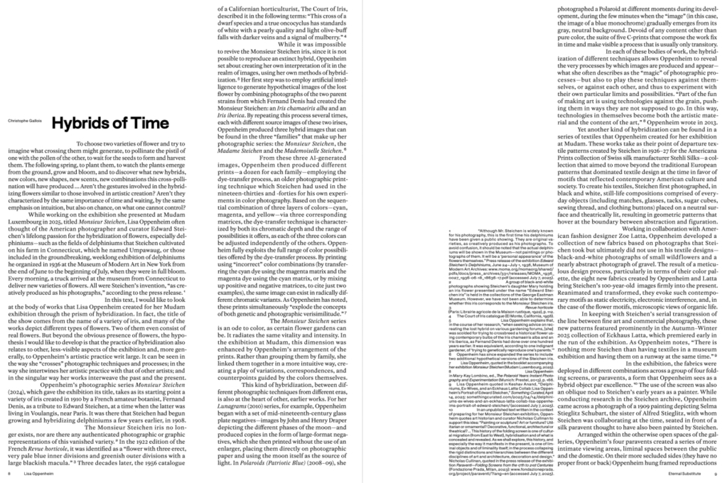 Weitere Ansicht: Lisa Oppenheim: The Eternal Substitute