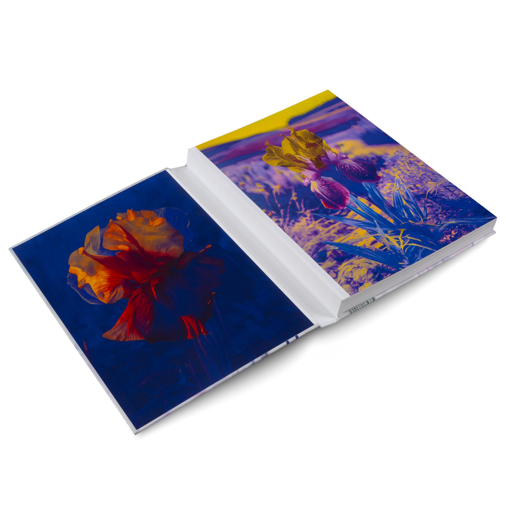 Weitere Ansicht: Lisa Oppenheim: The Eternal Substitute