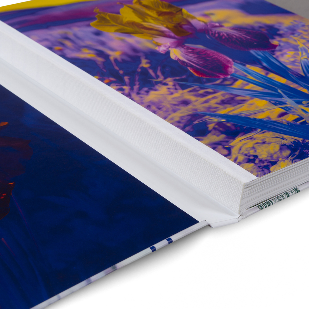 Weitere Ansicht: Lisa Oppenheim: The Eternal Substitute