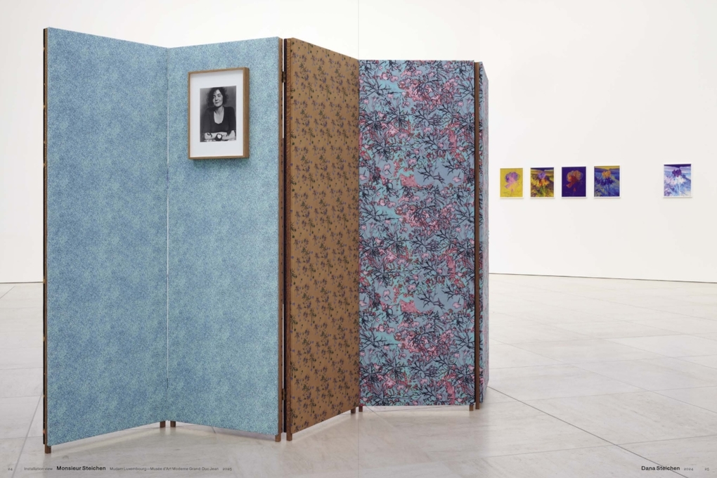 Weitere Ansicht: Lisa Oppenheim: The Eternal Substitute