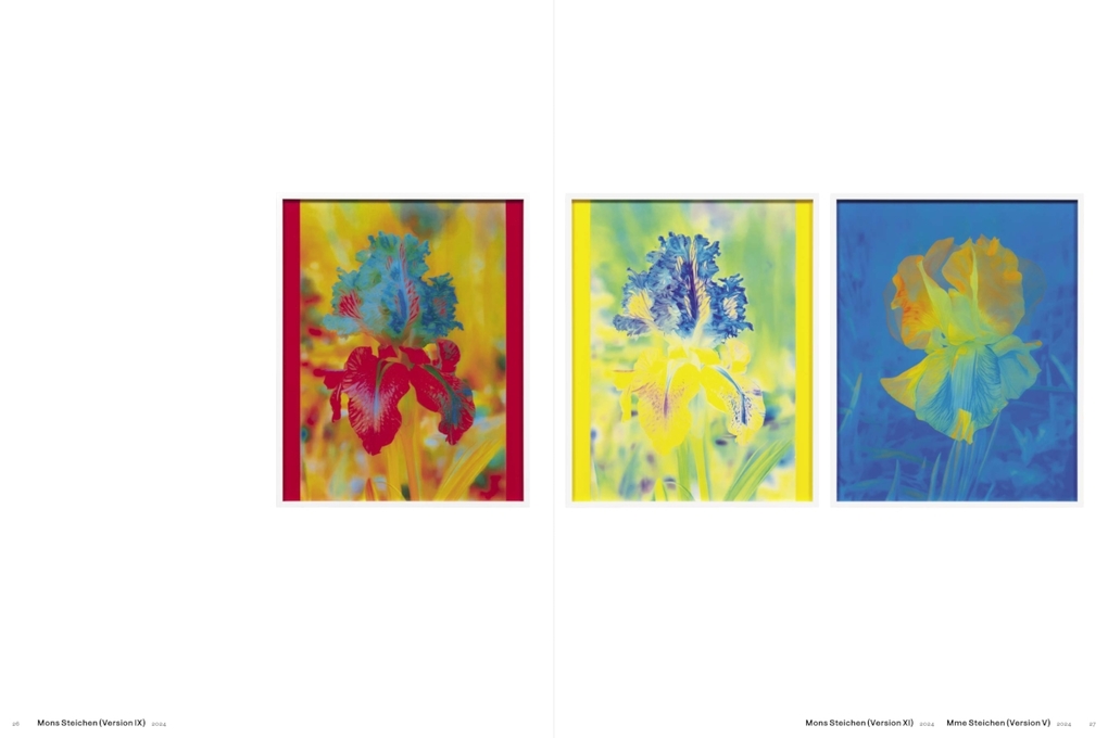 Weitere Ansicht: Lisa Oppenheim: The Eternal Substitute