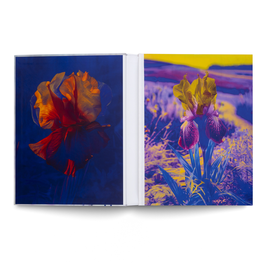 Weitere Ansicht: Lisa Oppenheim: The Eternal Substitute