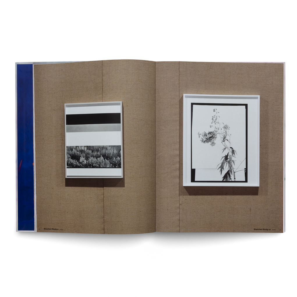 Weitere Ansicht: Lisa Oppenheim: The Eternal Substitute