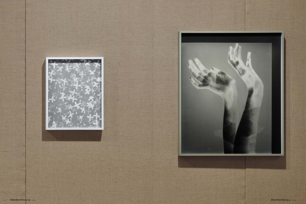 Weitere Ansicht: Lisa Oppenheim: The Eternal Substitute