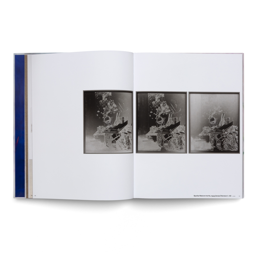 Weitere Ansicht: Lisa Oppenheim: The Eternal Substitute