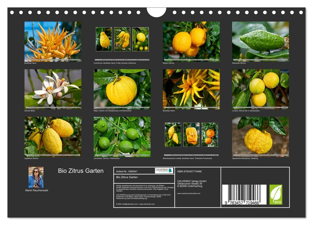 Weitere Ansicht: Bio Zitrus Garten (Wandkalender 2026 DIN A4 quer), CALVENDO Monatskalender | Martin Rauchenwald, Calvendo