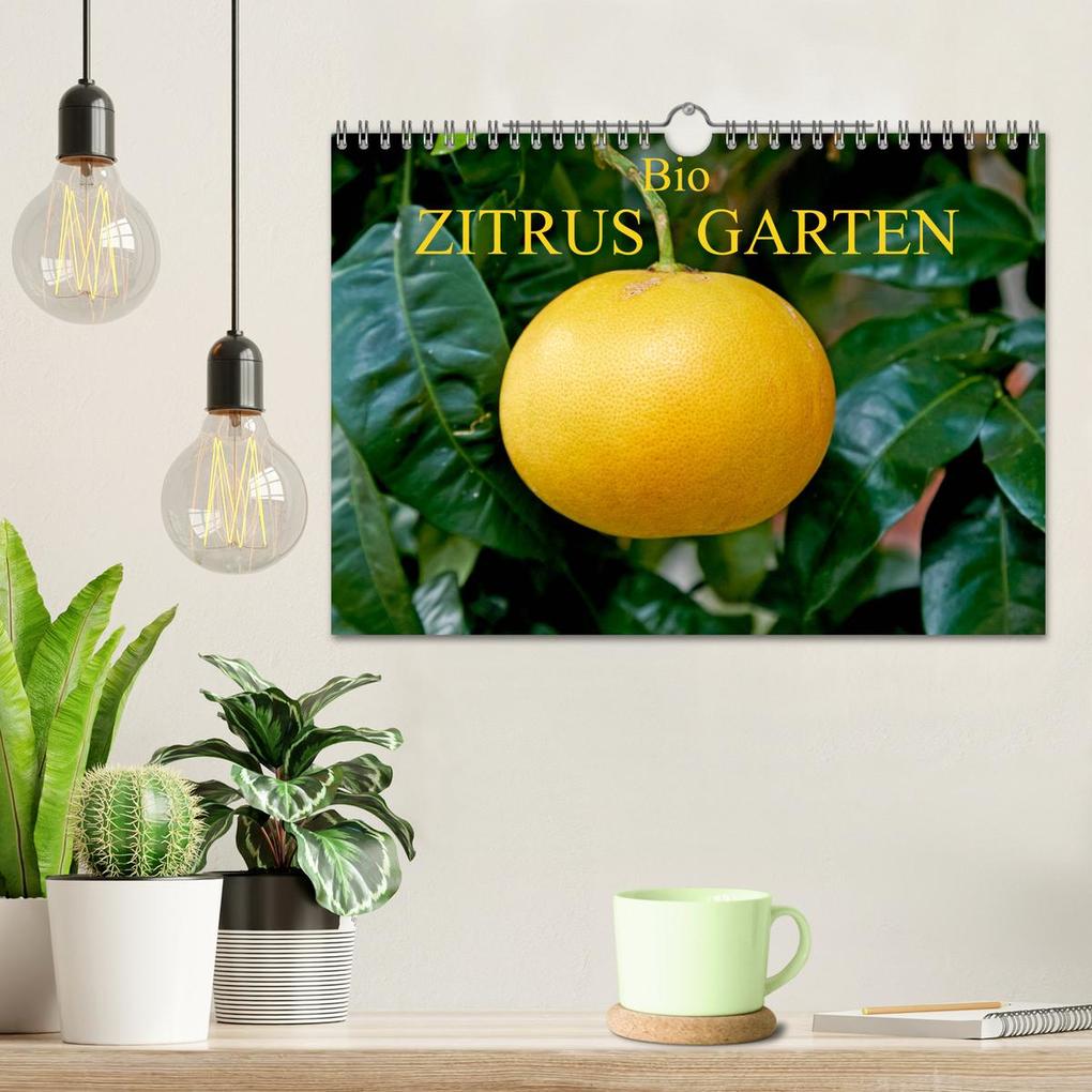 Weitere Ansicht: Bio Zitrus Garten (Wandkalender 2026 DIN A4 quer), CALVENDO Monatskalender | Martin Rauchenwald, Calvendo