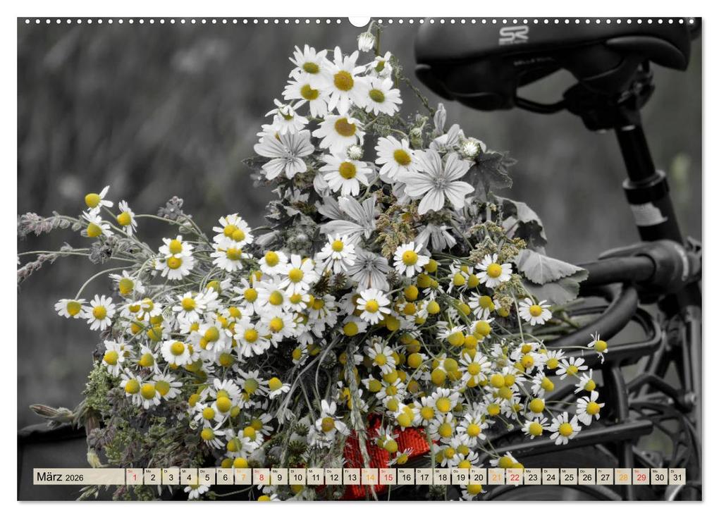 Weitere Ansicht: Fahrrad Alltag - Film Noir Style (Wandkalender 2026 DIN A2 quer), CALVENDO Monatskalender | Peter Roder, Calvendo