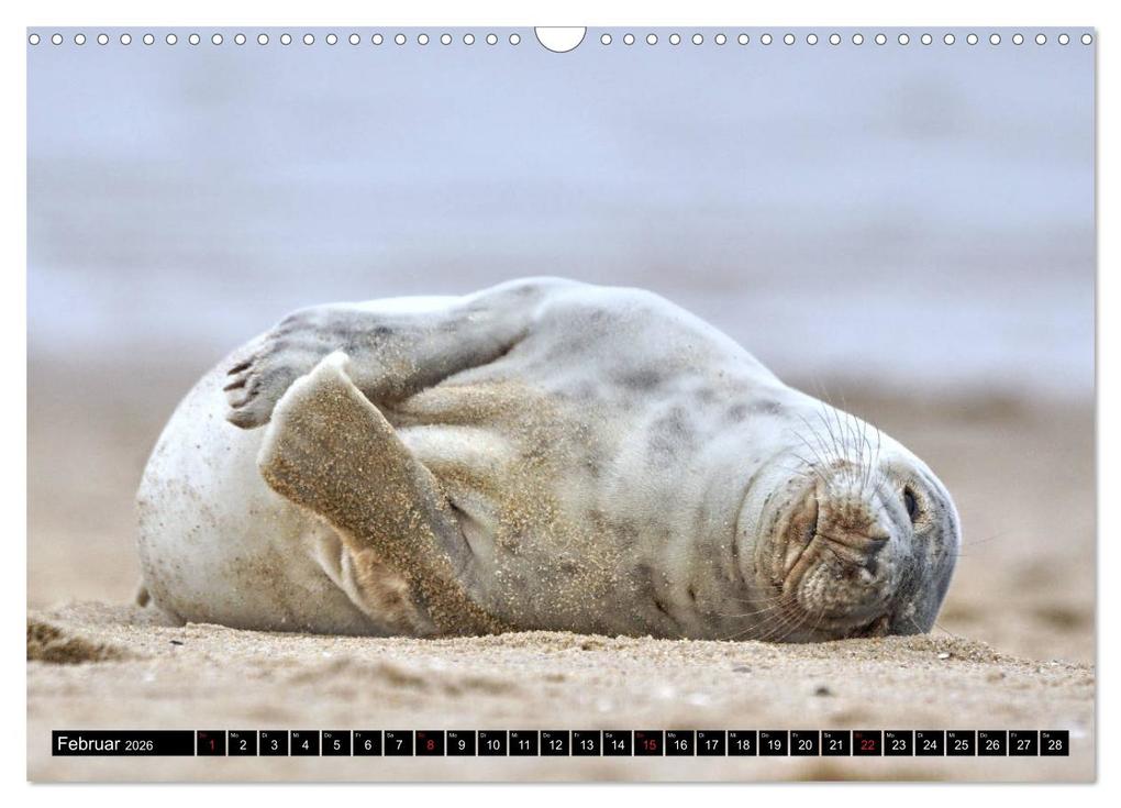 Weitere Ansicht: Sylt ist Meer (Wandkalender 2026 DIN A3 quer), CALVENDO Monatskalender | Bodo Balzer, Calvendo