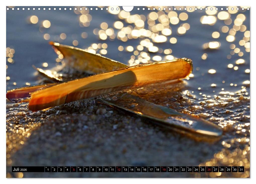 Weitere Ansicht: Sylt ist Meer (Wandkalender 2026 DIN A3 quer), CALVENDO Monatskalender | Bodo Balzer, Calvendo