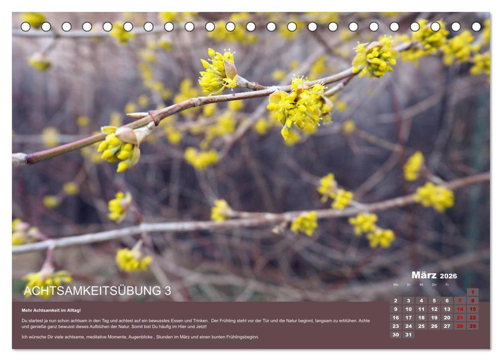 Weitere Ansicht: Achtsamkeit, 12 Übungen zu mehr Achtsamkeit. (Tischkalender 2026 DIN A5 quer), CALVENDO Monatskalender | VogtArt VogtArt, Calvendo, VogtArt
