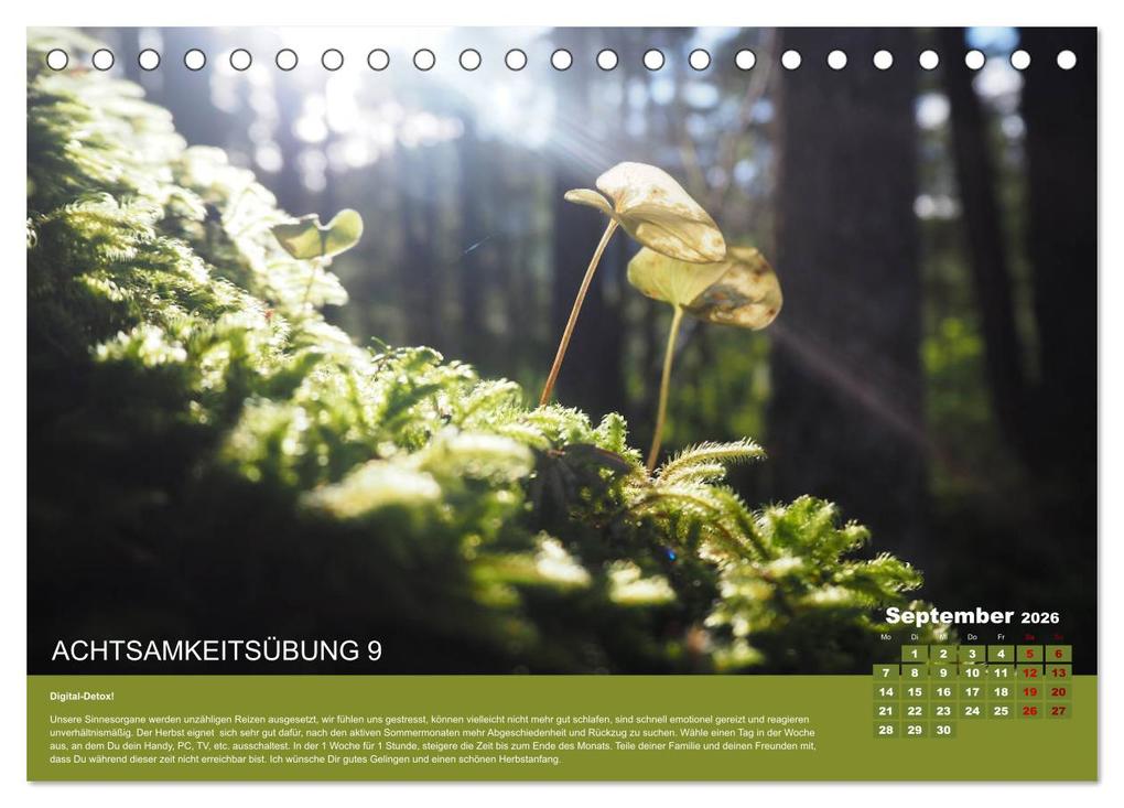 Weitere Ansicht: Achtsamkeit, 12 Übungen zu mehr Achtsamkeit. (Tischkalender 2026 DIN A5 quer), CALVENDO Monatskalender | VogtArt VogtArt, Calvendo, VogtArt