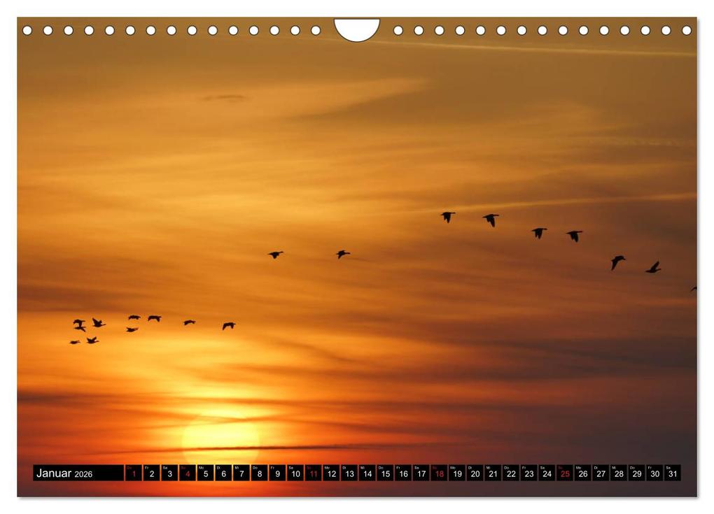 Weitere Ansicht: Sylt ist Meer (Wandkalender 2026 DIN A4 quer), CALVENDO Monatskalender | Bodo Balzer, Calvendo