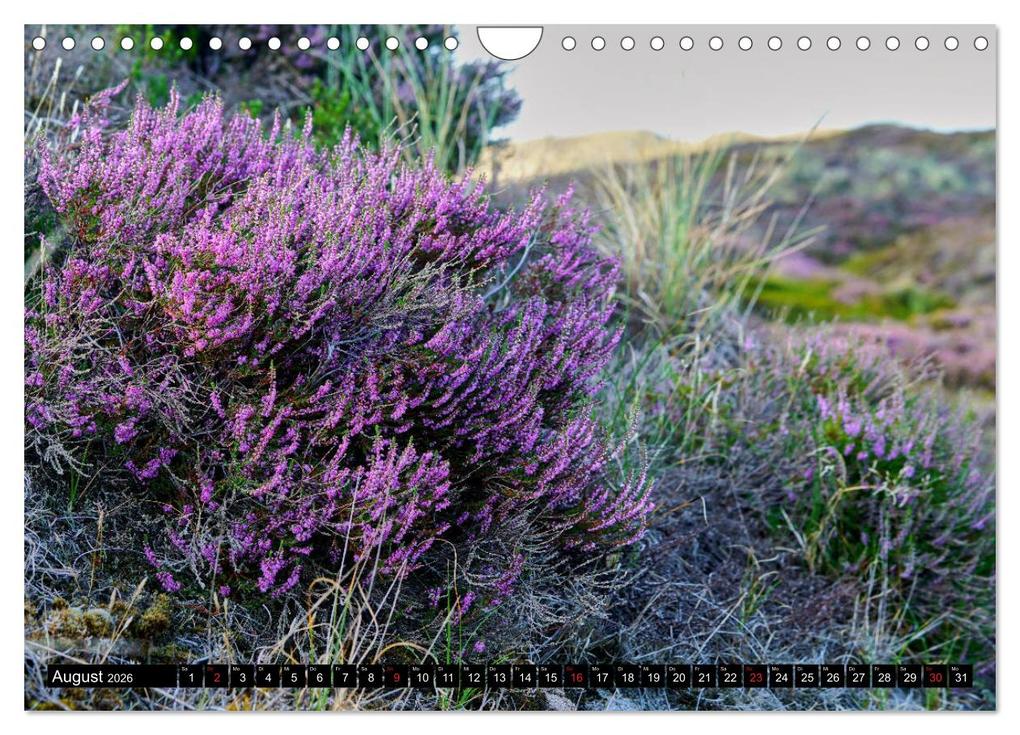 Weitere Ansicht: Sylt ist Meer (Wandkalender 2026 DIN A4 quer), CALVENDO Monatskalender | Bodo Balzer, Calvendo