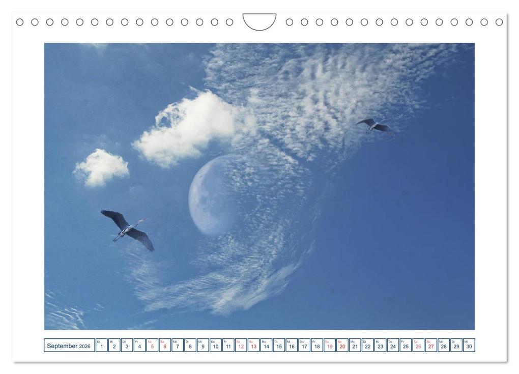 Weitere Ansicht: MoonMania (Wandkalender 2026 DIN A4 quer), CALVENDO Monatskalender | Calvendo, Ola Feix