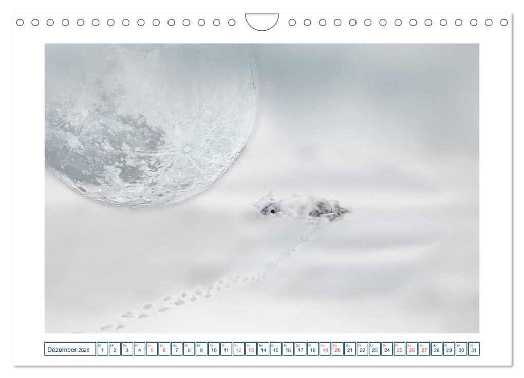 Weitere Ansicht: MoonMania (Wandkalender 2026 DIN A4 quer), CALVENDO Monatskalender | Calvendo, Ola Feix