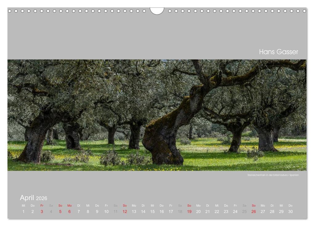 Weitere Ansicht: GROSSARTIGE LANDSCHAFTEN 2026 (Wandkalender 2026 DIN A3 quer), CALVENDO Monatskalender | Calvendo, Hans Gasser