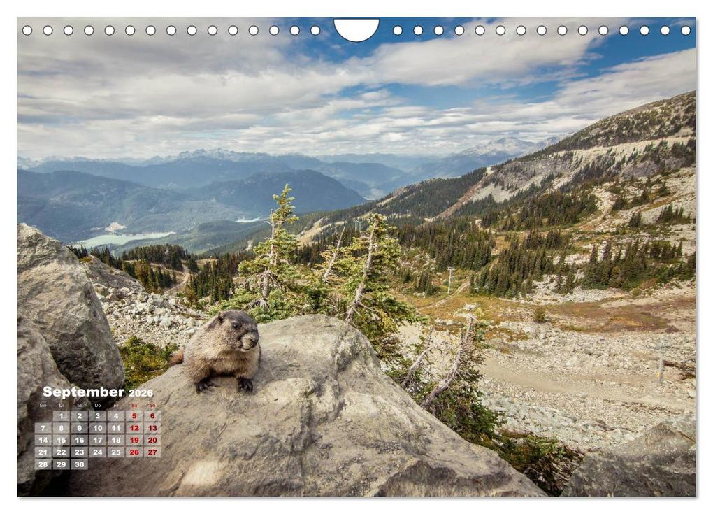 Weitere Ansicht: Vancouver & British Columbia (Wandkalender 2026 DIN A4 quer), CALVENDO Monatskalender | Calvendo, Philipp Blaschke