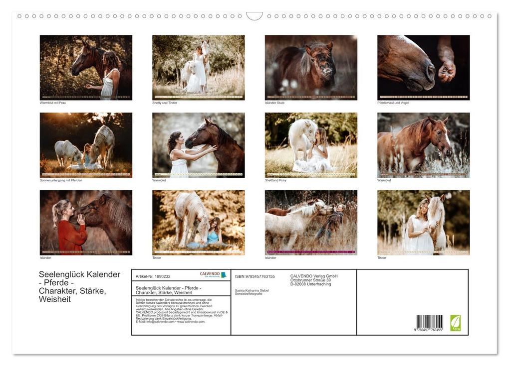 Weitere Ansicht: Seelenglück Kalender - Pferde - Charakter, Stärke, Weisheit (Wandkalender 2026 DIN A2 quer), CALVENDO Monatskalender | Calvendo, Saskia Katharina Siebel Sensiebelfotografie