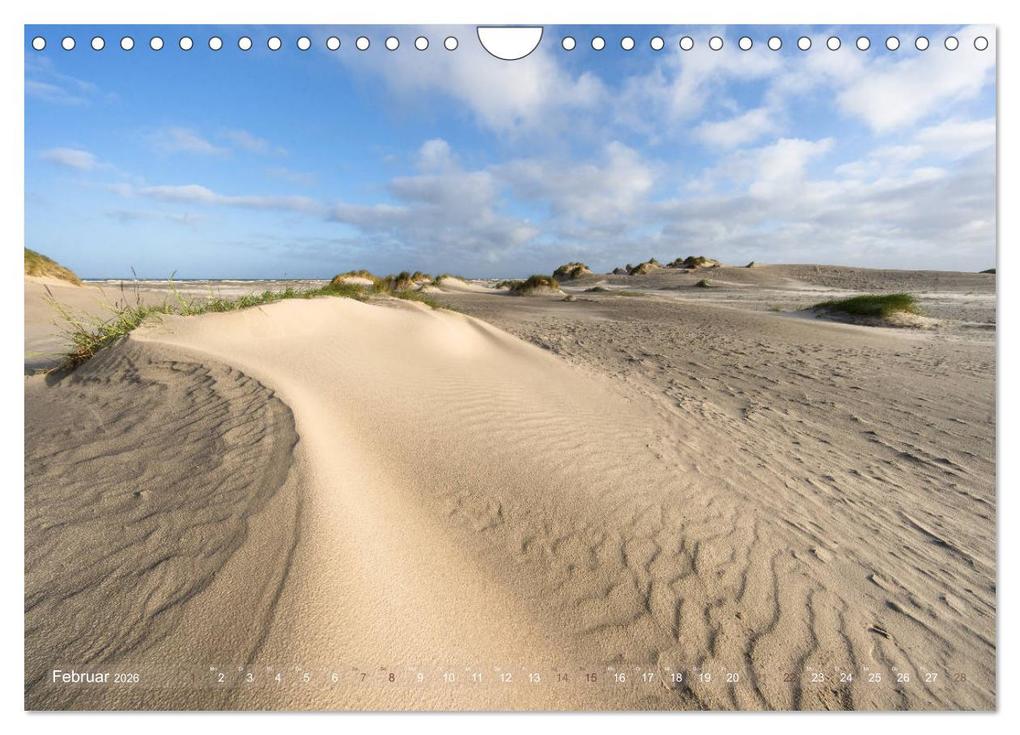 Weitere Ansicht: Römö - Strände und Dünen (Wandkalender 2026 DIN A4 quer), CALVENDO Monatskalender | Monika Scheurer, Calvendo