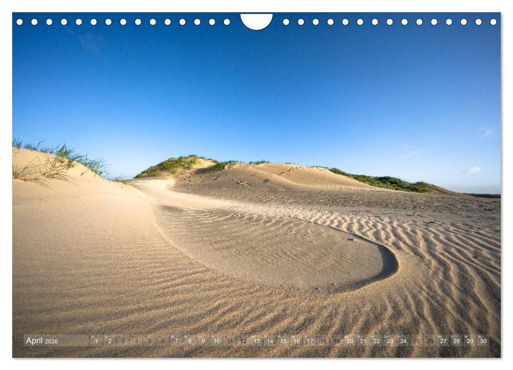 Weitere Ansicht: Römö - Strände und Dünen (Wandkalender 2026 DIN A4 quer), CALVENDO Monatskalender | Monika Scheurer, Calvendo