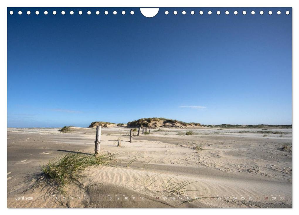 Weitere Ansicht: Römö - Strände und Dünen (Wandkalender 2026 DIN A4 quer), CALVENDO Monatskalender | Monika Scheurer, Calvendo