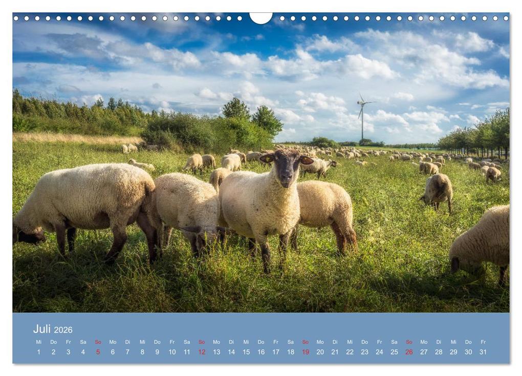 Weitere Ansicht: Kronsberg Hannover (Wandkalender 2026 DIN A3 quer), CALVENDO Monatskalender | Kai Buddensiek, Calvendo