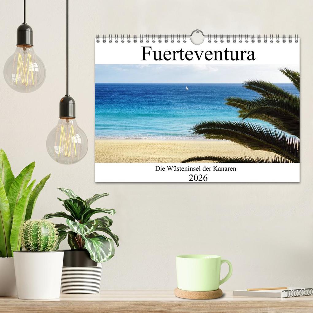 Weitere Ansicht: Fuerteventura - die Wüsteninsel der Kanaren (Wandkalender 2026 DIN A4 quer), CALVENDO Monatskalender | Franziska Hoppe, Calvendo