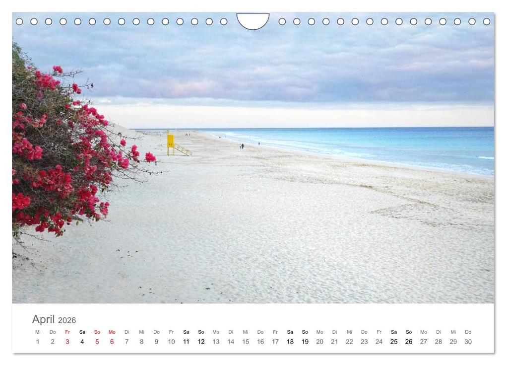 Weitere Ansicht: Fuerteventura - die Wüsteninsel der Kanaren (Wandkalender 2026 DIN A4 quer), CALVENDO Monatskalender | Franziska Hoppe, Calvendo