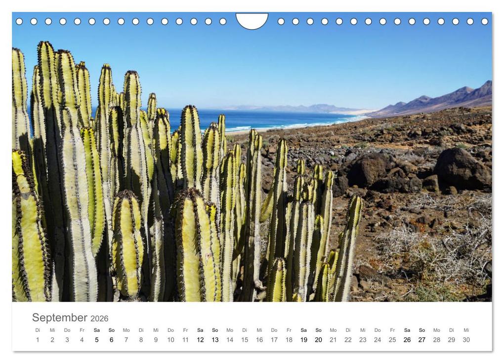 Weitere Ansicht: Fuerteventura - die Wüsteninsel der Kanaren (Wandkalender 2026 DIN A4 quer), CALVENDO Monatskalender | Franziska Hoppe, Calvendo