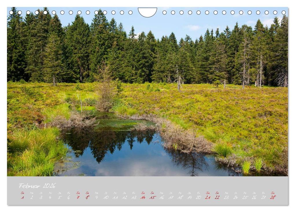 Weitere Ansicht: Thüringer Wald Das Grüne Herz Deutschlands (Wandkalender 2026 DIN A4 quer), CALVENDO Monatskalender | Prime Selection, Calvendo