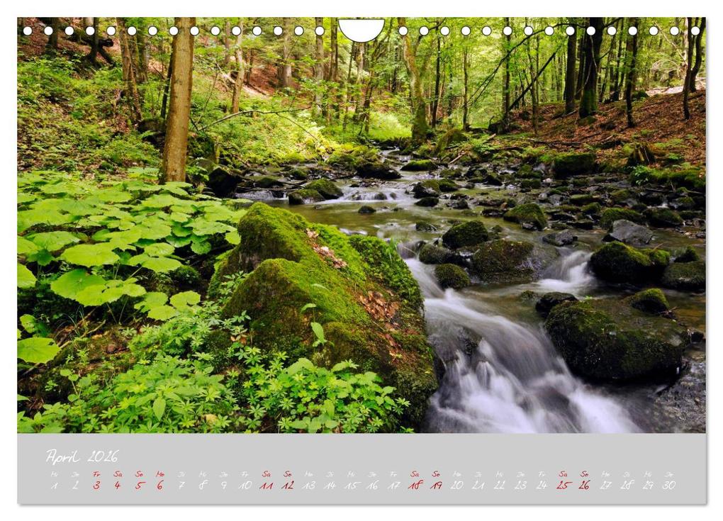 Weitere Ansicht: Thüringer Wald Das Grüne Herz Deutschlands (Wandkalender 2026 DIN A4 quer), CALVENDO Monatskalender | Prime Selection, Calvendo