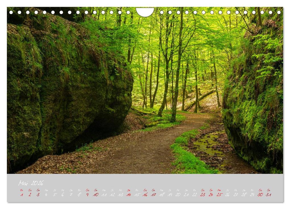 Weitere Ansicht: Thüringer Wald Das Grüne Herz Deutschlands (Wandkalender 2026 DIN A4 quer), CALVENDO Monatskalender | Prime Selection, Calvendo