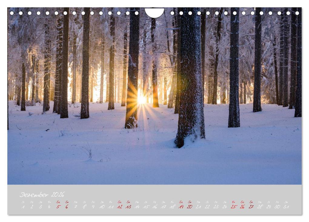 Weitere Ansicht: Thüringer Wald Das Grüne Herz Deutschlands (Wandkalender 2026 DIN A4 quer), CALVENDO Monatskalender | Prime Selection, Calvendo