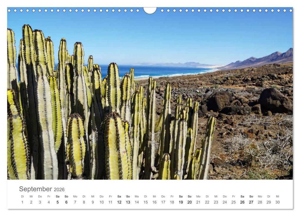 Weitere Ansicht: Fuerteventura - die Wüsteninsel der Kanaren (Wandkalender 2026 DIN A3 quer), CALVENDO Monatskalender | Franziska Hoppe, Calvendo