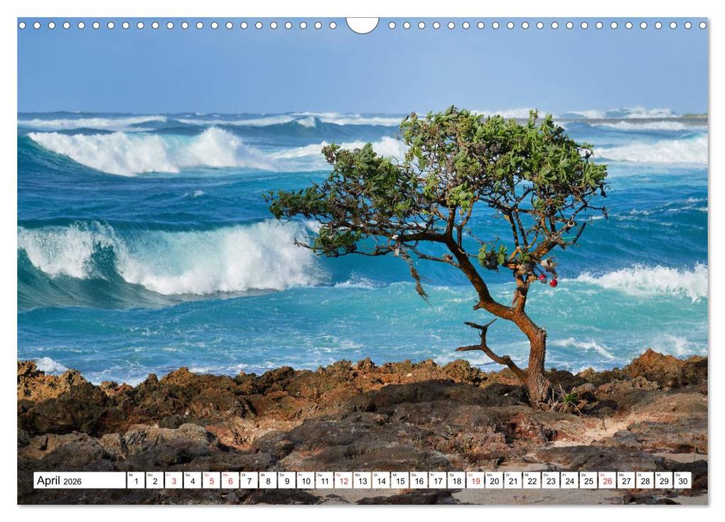 Weitere Ansicht: Hawaii - Vulkan- und Inselparadies im Pazifik (Wandkalender 2026 DIN A3 quer), CALVENDO Monatskalender | Sandra Schänzer, Calvendo