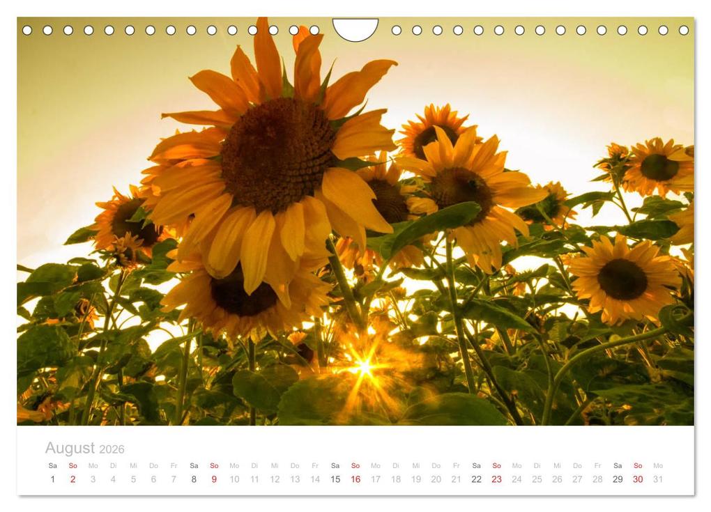Weitere Ansicht: Kappeln an der Schlei (Wandkalender 2026 DIN A4 quer), CALVENDO Monatskalender | Ute Jackisch, Calvendo