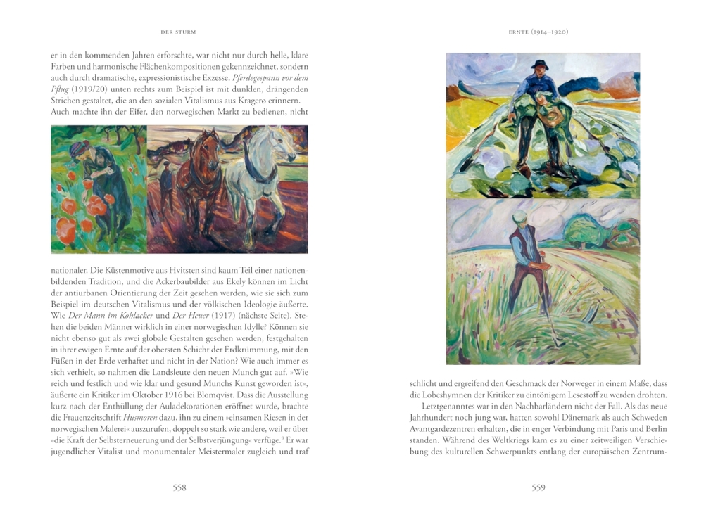Weitere Ansicht: Der Sturm. Eine Biografie über Edvard Munch | Ivo de Figueiredo
