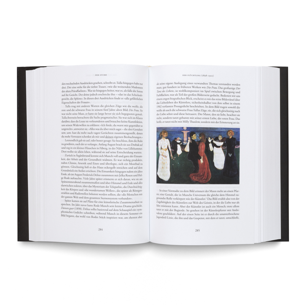 Weitere Ansicht: Der Sturm. Eine Biografie über Edvard Munch | Ivo de Figueiredo